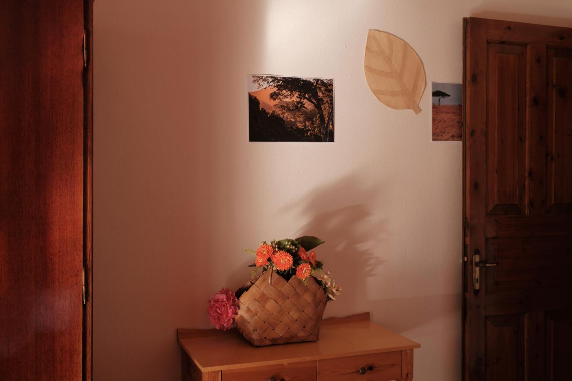Serengeti Nap Comfy Rooms Σιδάρι Δωμάτιο φωτογραφία
